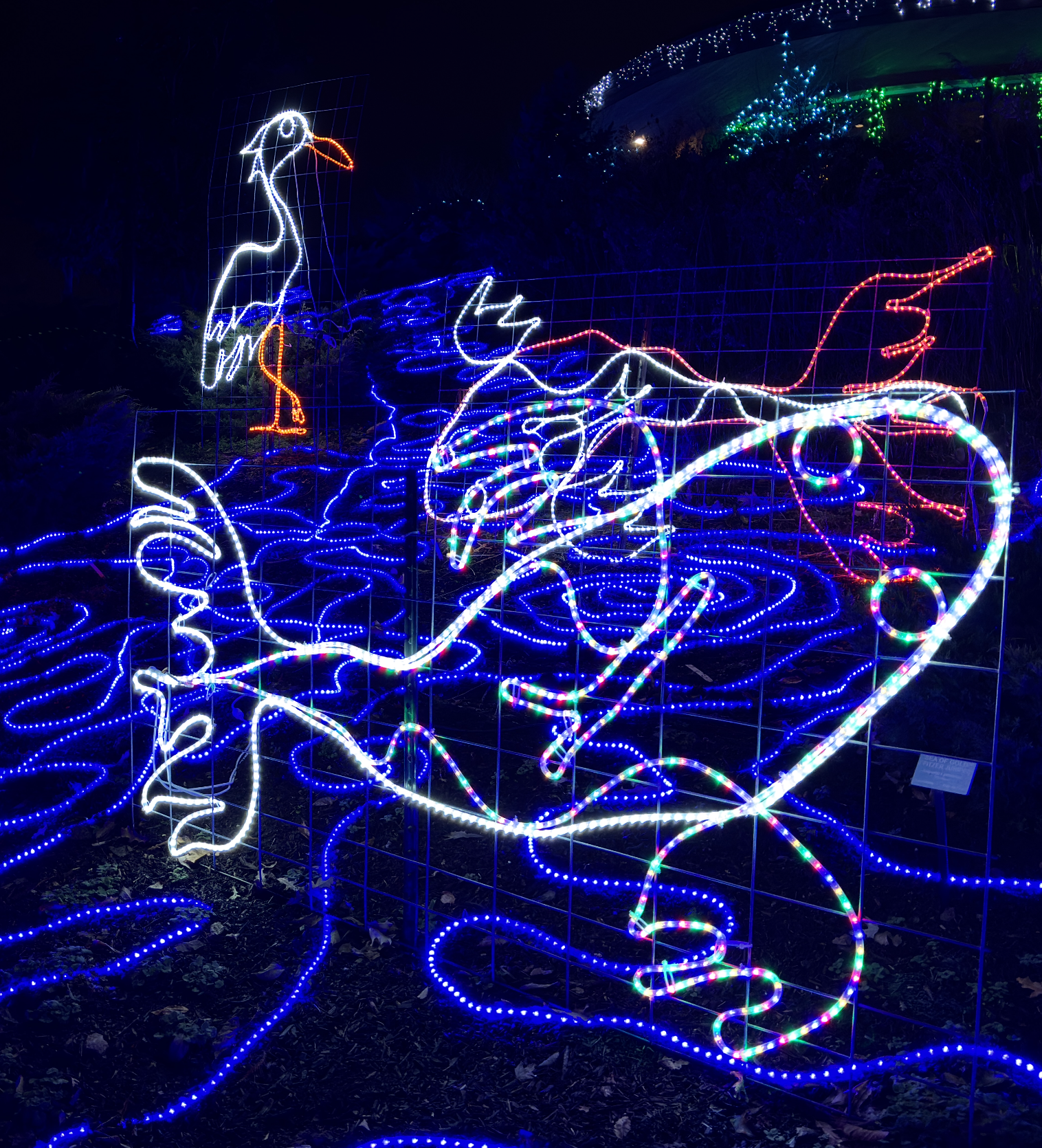 A smiling couple holding hands at the altar during an outdoor wedding ceremony in Louisville.